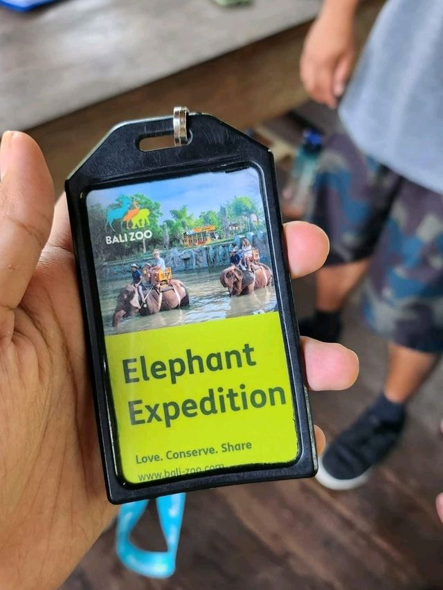 🇮🇩 Elephant Expedition in Bali, Indonesia