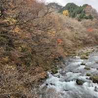 Don’t miss this place NIKKO outside Tokyo!