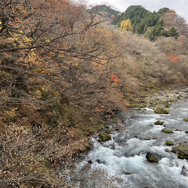 Don’t miss this place NIKKO outside Tokyo!