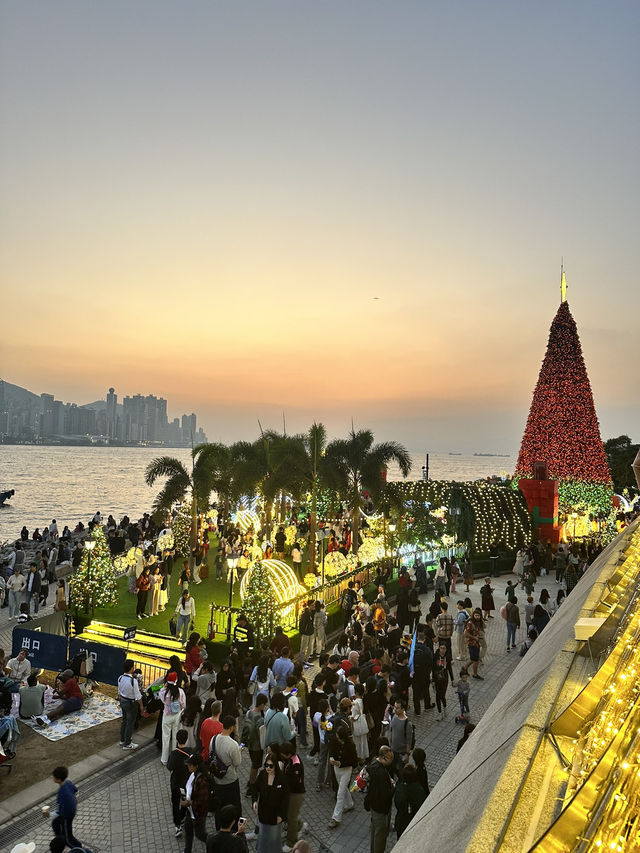 🇭🇰全香港最美最大聖誕樹🎄請不要再來了！