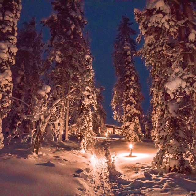 Arctic Skylight Lodge：芬蘭拉普蘭的極光天堂