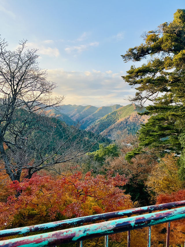 秋日高尾山，紅葉映照的心靈之旅