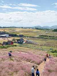 Must Visit Café in Jeju during Autumn 🍂 