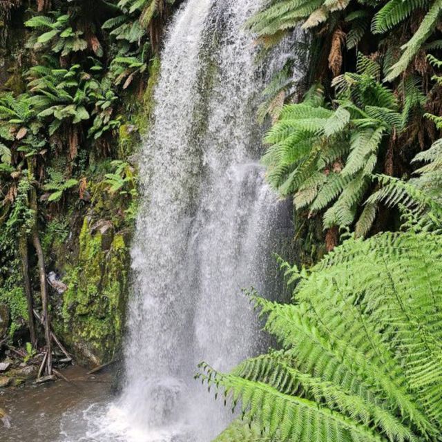 Great Otway National Park, Victoria