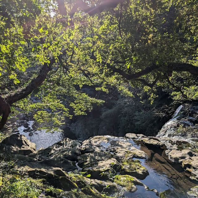 Cheonjeyeon Waterfalls