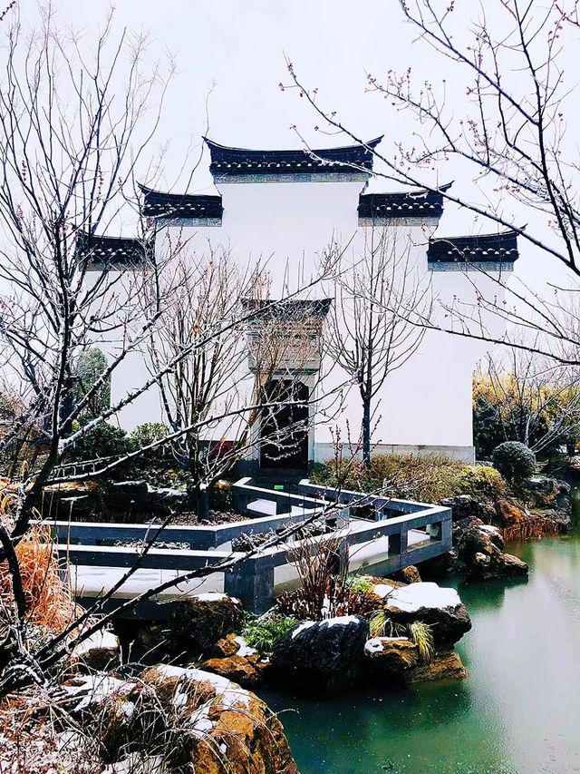 河海興城，水韻書香：合肥園博園寧波園雪景