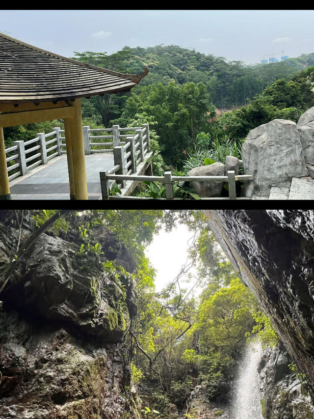 陽台山森林公園(大浪入口)