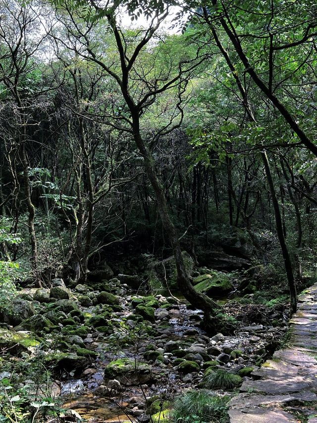 陝西少華山|自然美景如畫。