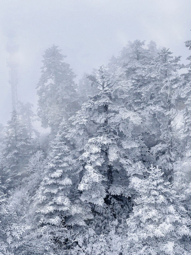 冬天第一場雪是在西嶺雪山看的，雪景太好拍了