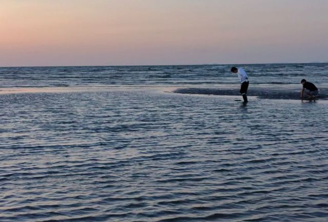 大連趕海：灘平水淺的趕海聖地