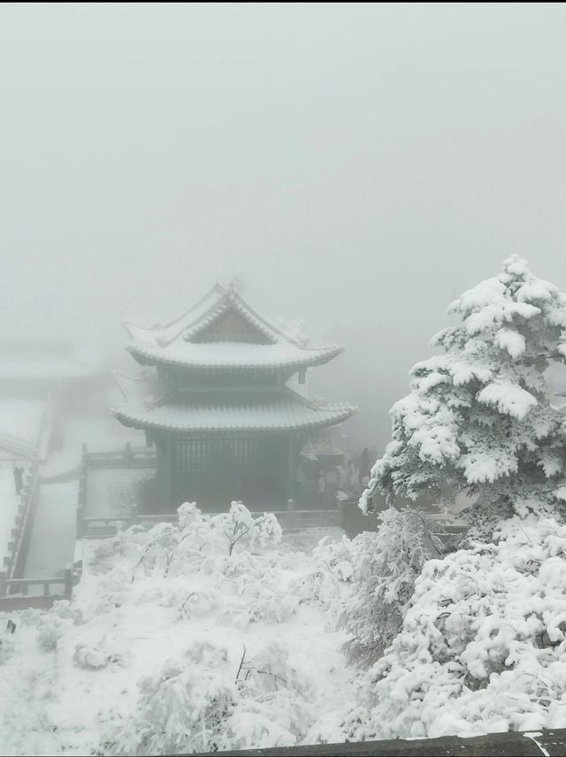 峨眉山的雪簡直封神了 | 冬季超詳細旅遊攻略