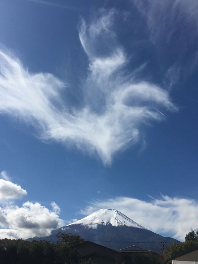 日本6日遊超全攻略大揭秘