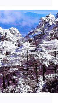 原來在大理還有這麼美的雪山