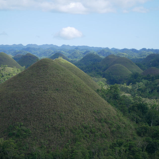 Bohol: Nature’s Paradise in the Philippines