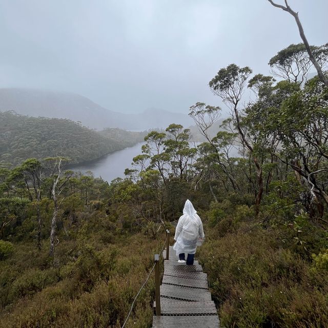  Cradle Mountain