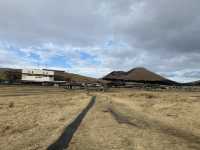 「草千里」：阿蘇火山地區的壯麗草原，四季風景、野生動物和戶外活動的天堂