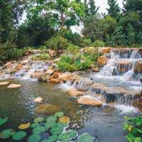  The hidden gem of Kingfisher Wetlands at Gardens by the Bay 🇸🇬