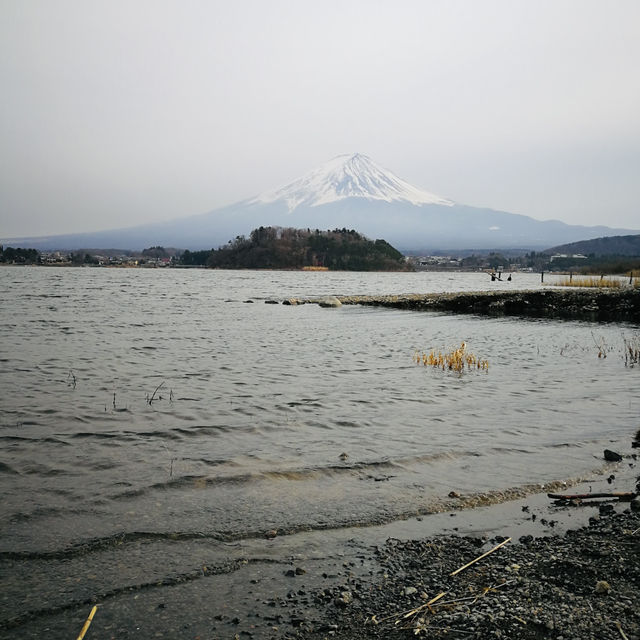 Facing Majesty: A Moment with Mount Fuji at Kawaguchiko