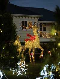 Franklin Road: Auckland’s Glittering Christmas Wonderland