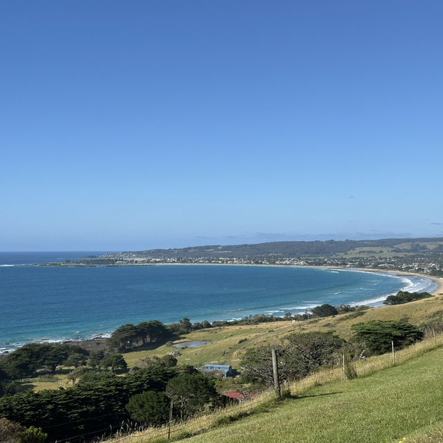 Coastal Bliss: A 2-Day Great Ocean Road Escape to Paradise