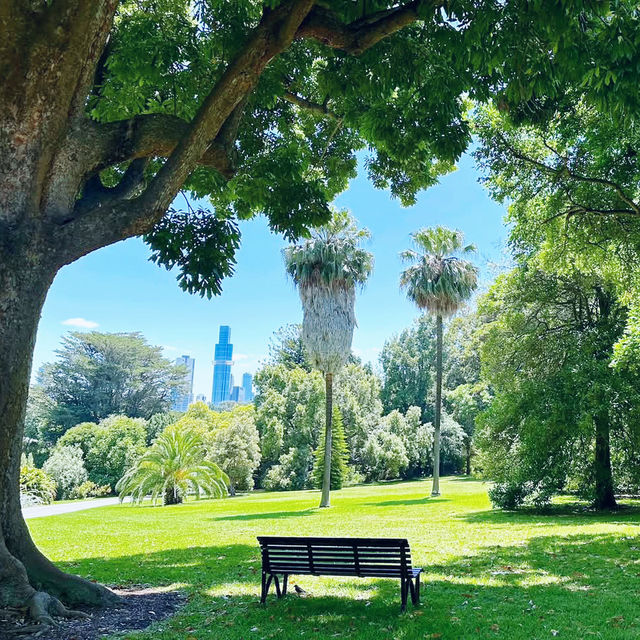 Nature's Masterpiece: Unwinding at Melbourne's Royal Botanic Gardens 🇦🇺