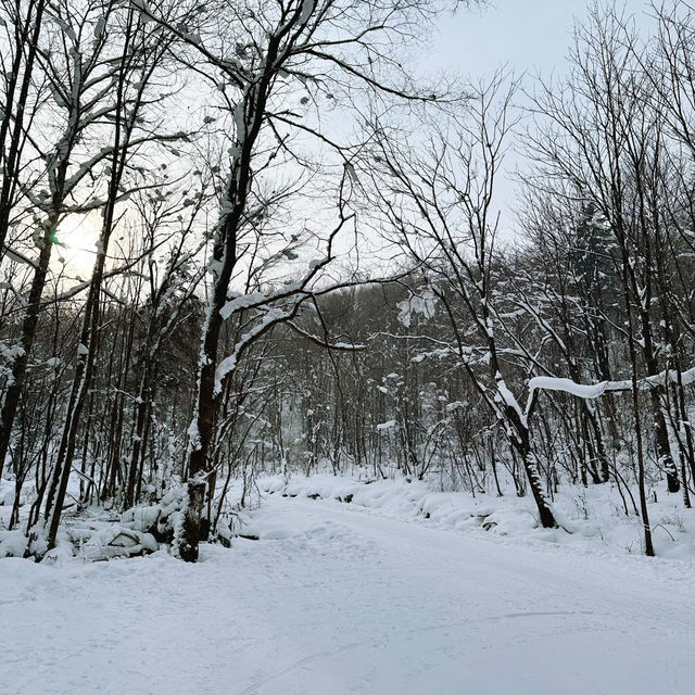 หลีกหนีความวุ่นวายมาเล่นหิมะที่ Snow Valley❄️☃️