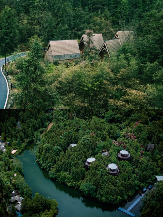 不輸清邁霸氣承包500畝森林，黃山齊雲山野奢樹屋溜娃