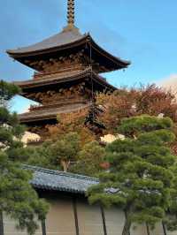 Explore the Stunning Autumn Foliage at Toji Temple in Kyoto!