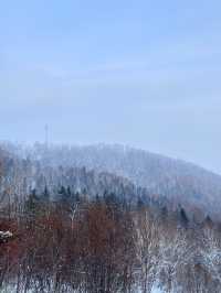 5日玩轉哈爾濱-雪鄉 看這篇就夠別錯過