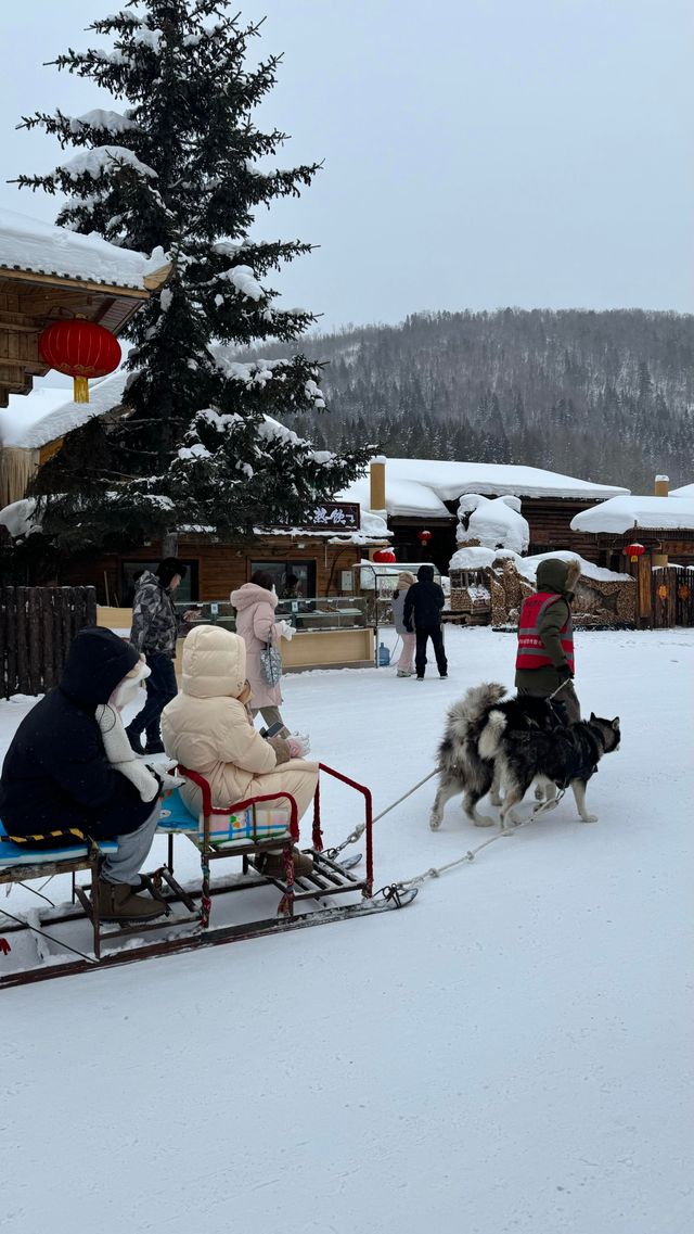 亞力布雪鄉旅遊攻略