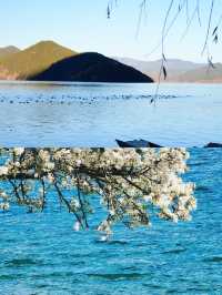 "瀘沽湖：遺落人間的仙境，碧水映天藍的夢幻之旅"