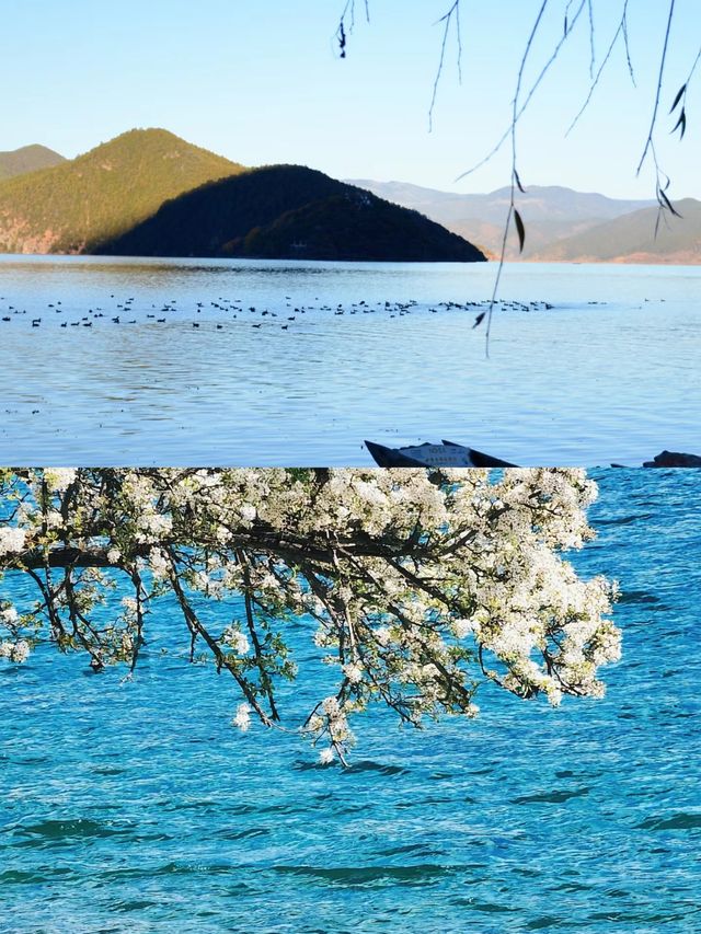 "瀘沽湖：遺落人間的仙境，碧水映天藍的夢幻之旅"