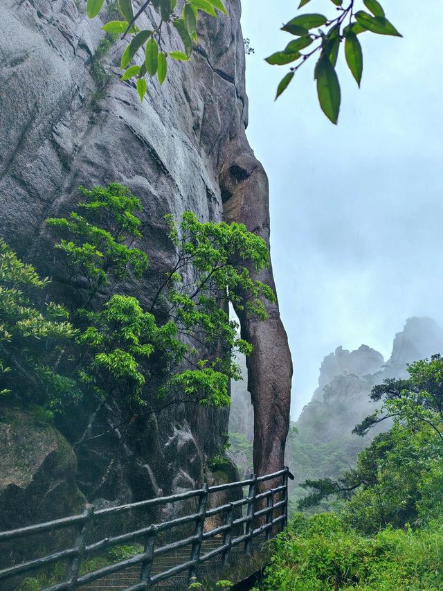 廬山-景德鎮-婺源6日深度遊 避坑全攻略別錯過