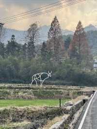 鄉村路上的風景線|銀坑村