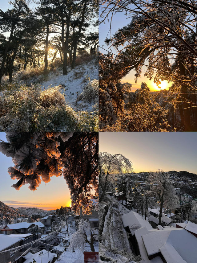 不識廬山真面目，只緣身在此山中。