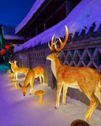 雪鄉夜景也太浪漫了吧  蘑菇屋