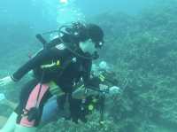 Pulau Tioman Salang Beach