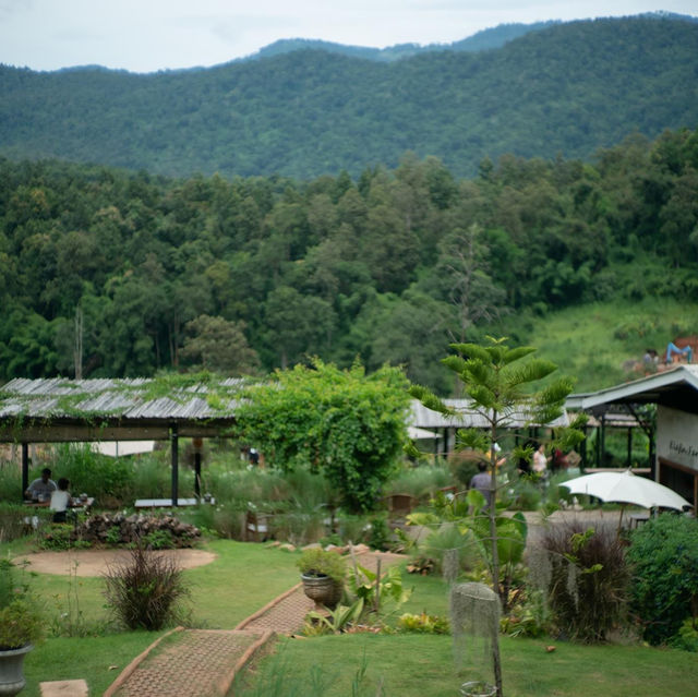 𝗘𝗹𝗲𝗳𝗶𝗻 𝗙𝗮𝗿𝗺 & 𝗖𝗮𝗳𝗲 : Chiang Mai