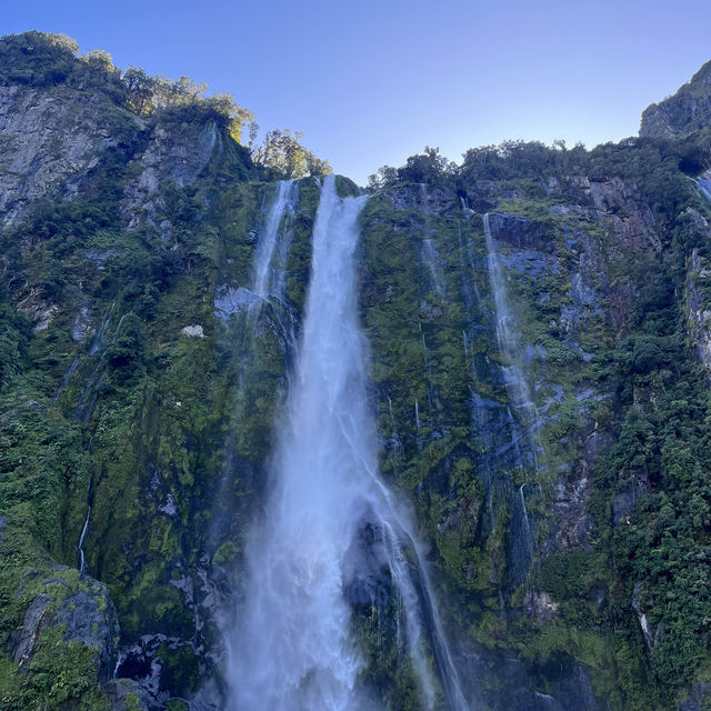 Bucket list experience done✅ Milford sound!!