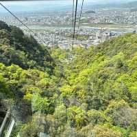 岐阜縣岐阜城半日遊｜松鼠館、金華登山纜車、美食午餐