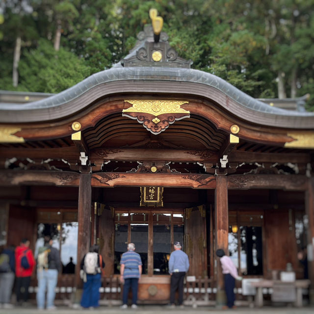 大鳥居が大迫力な櫻山八幡宮