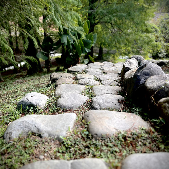 🌲逛逛羅東林業文化園區🐾