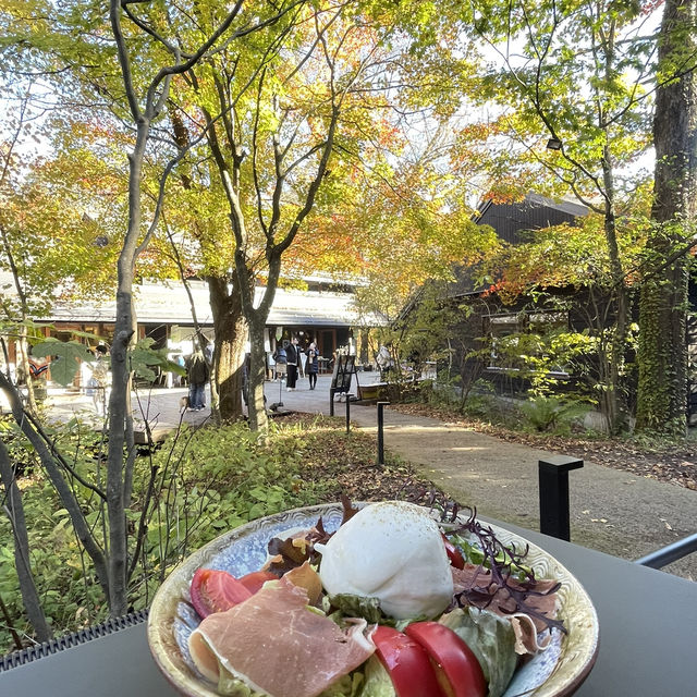 輕井澤楓葉之旅🍁