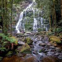 Tasmanian Wilderness (Tasmania)