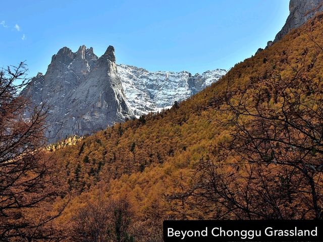 Best Autumn Viewing Experience 3/3 [Beyond Chonggu Grassland, Yading Nature Reserve]