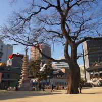 วัดโชเกซา (Jogyesa Temple)