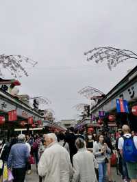 🇯🇵 From Temples to Sushi: A Journey Through Japan’s Must-See Spots and Flavors