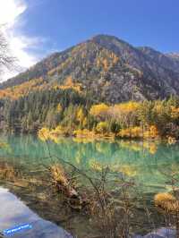 Exploring Jiuzhai Valley: A Natural Wonderland