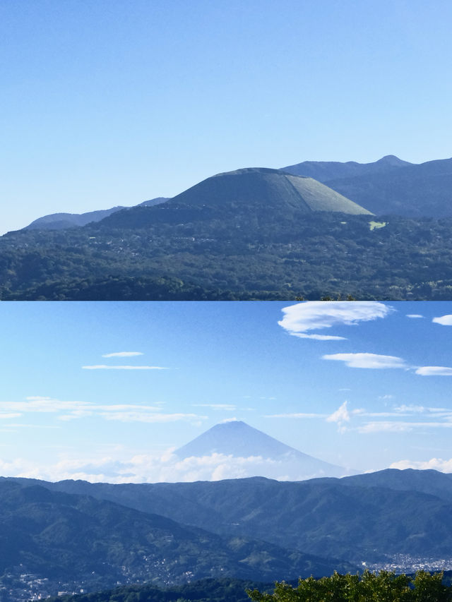 伊豆 live｜一個人旅行 去看海看富士山