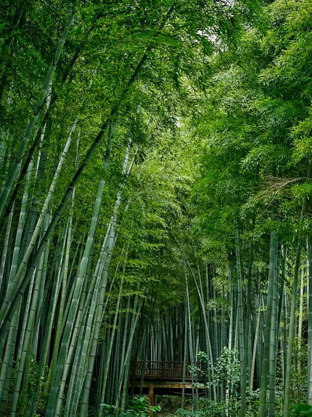 宜興陶藝體驗｜手捧陶泥，遇見最治癒的慢生活